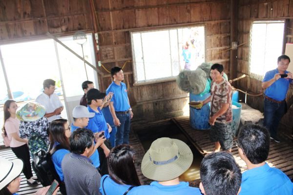 Đoàn viên thanh niên tham quan mô hình kinh tế thanh niên nuôi cá tại Cần Thơ 